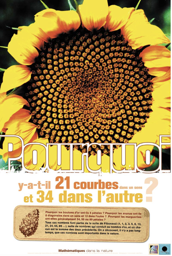 Mathématiques dans la nature - Image 5